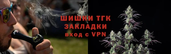 гашик Балахна