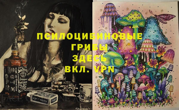 ПСИЛОЦИБИНОВЫЕ ГРИБЫ Белокуриха