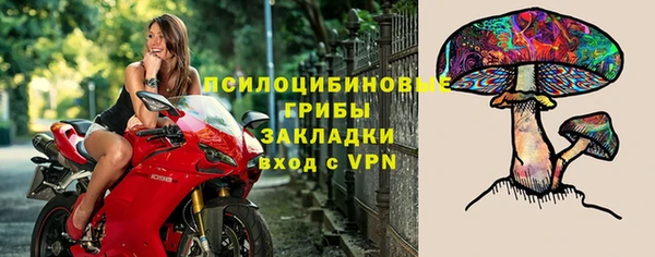 гашик Балахна